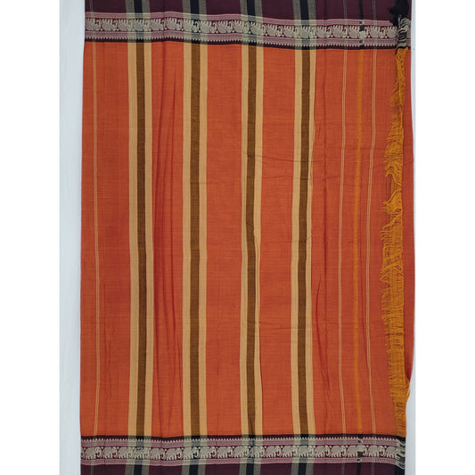 Narayanpet pure cotton thread border saree - Vinshika